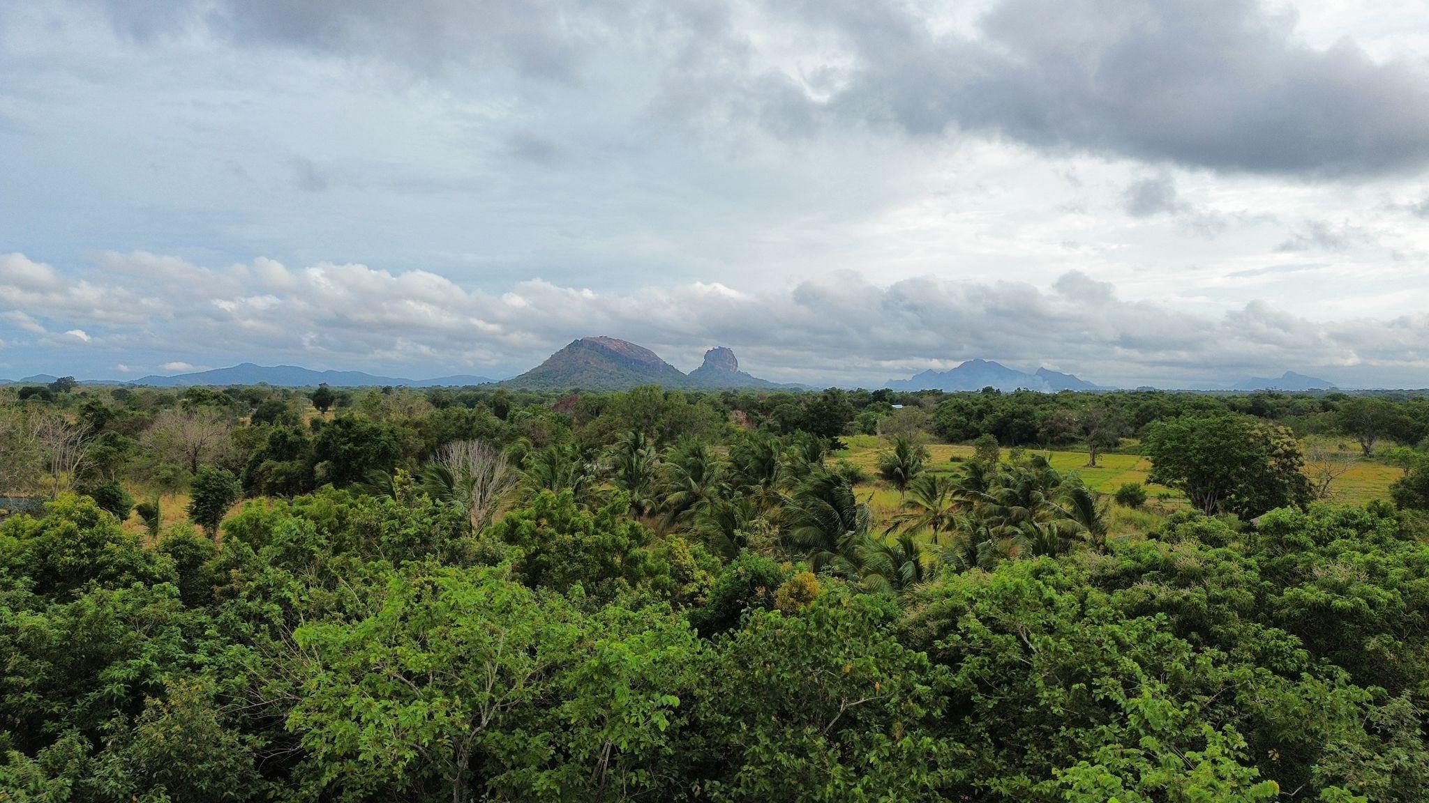 3 Days in Sigiriya, Sri Lanka: A Perfect Itinerary for Culture, Wildlife and Jungle Escapes